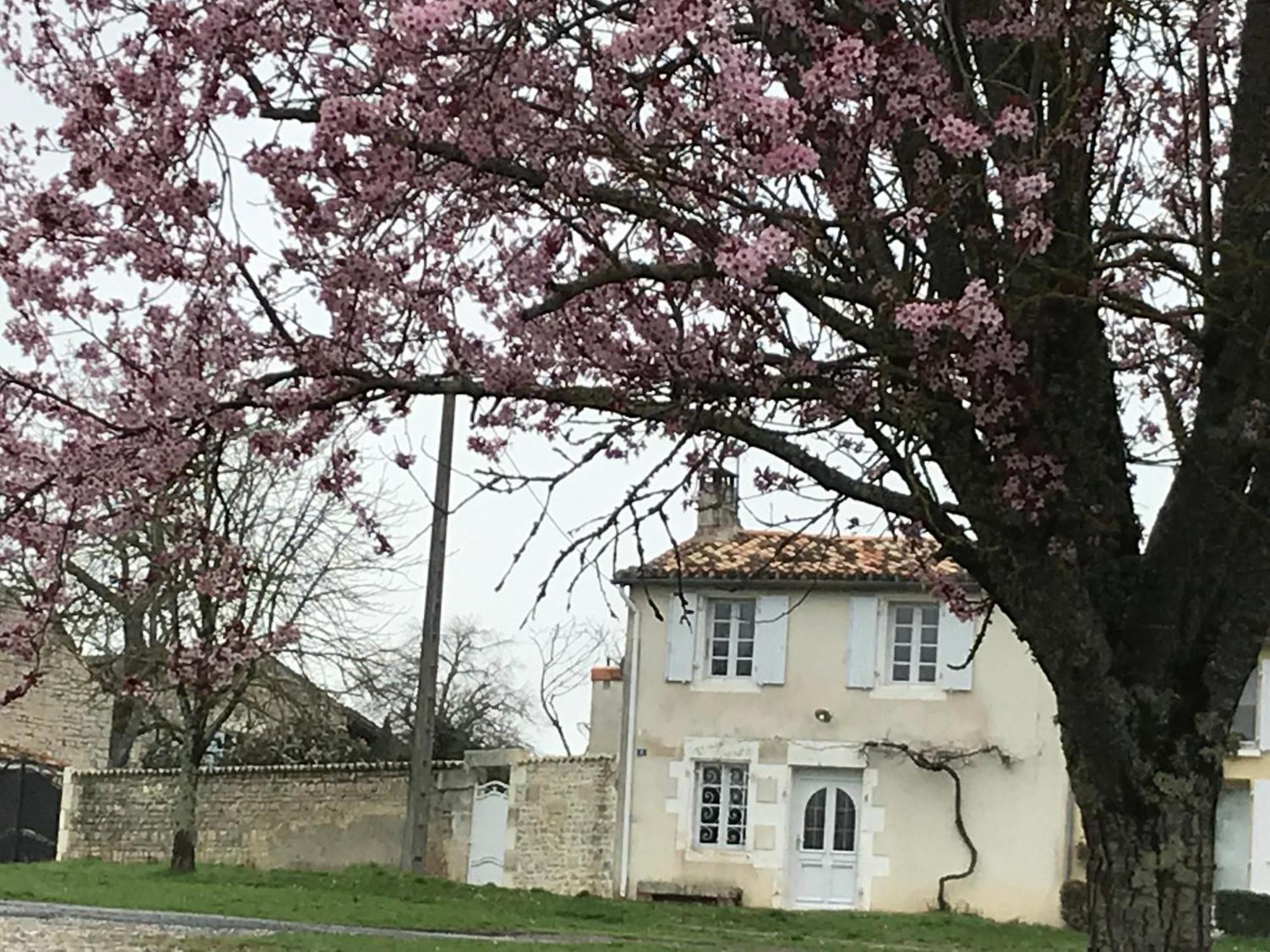 La Maison de Josephine Montignac-Charente Extérieur photo